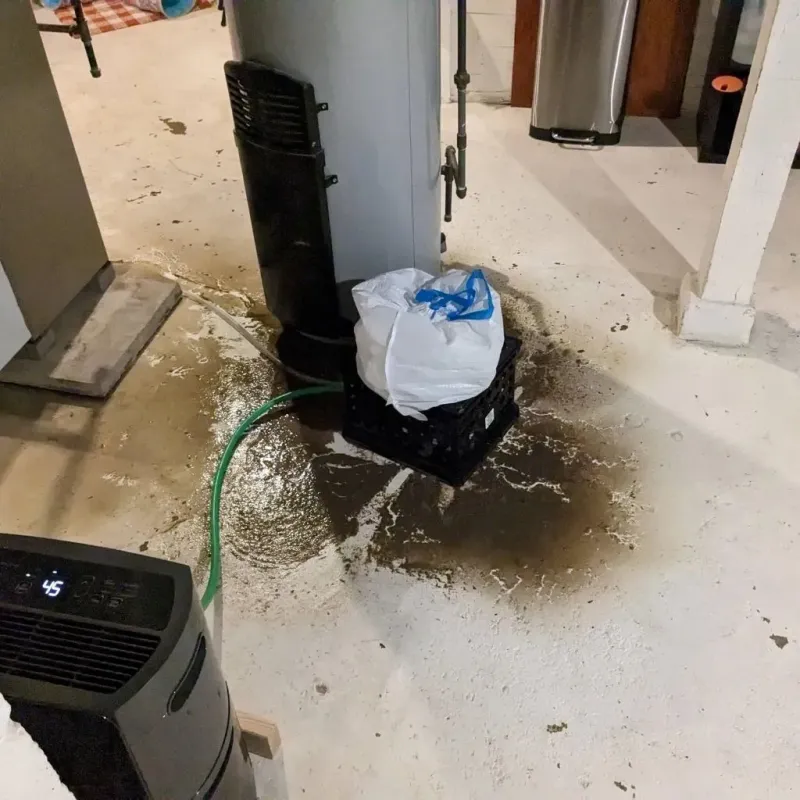 Sewage Backup Cleanup Service in Oakham, MA